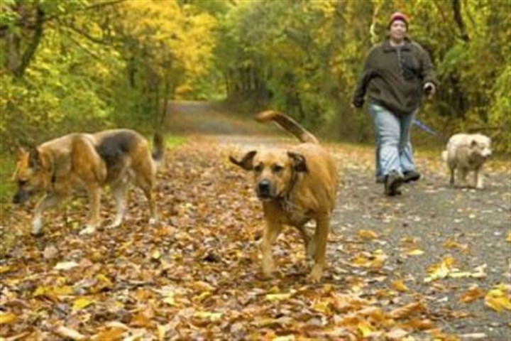 South Fayette may discontinue off-leash area in park