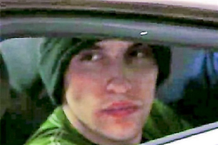 Man pleads guilty but mentally ill to fatally stabbing grandmother