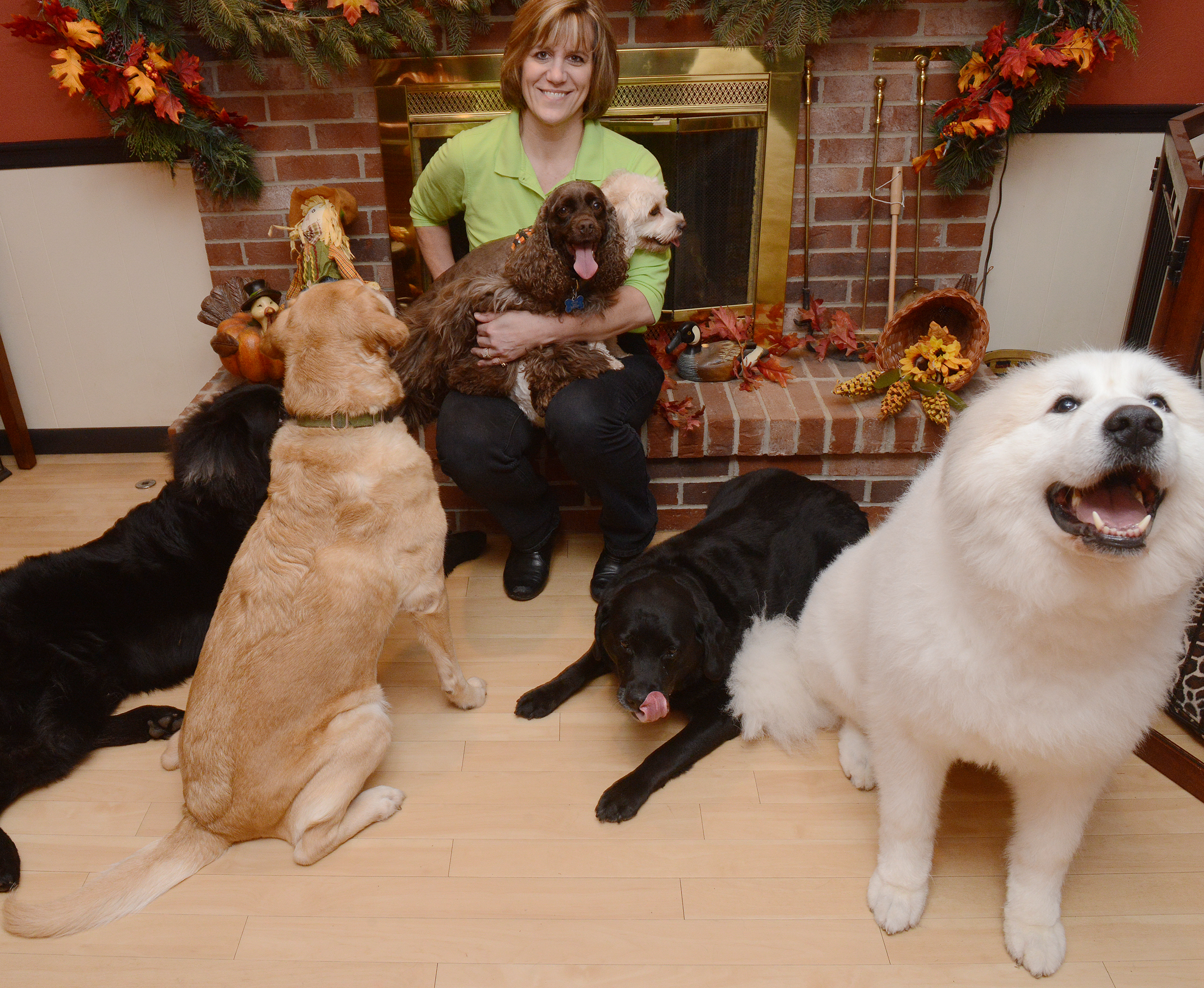 20131031rldDogWagLocal01 Dog trainer and educator Penny Layne with her six dogs Thursday at her Irwin home. Ms. Layne and other local pet experts say they aren’t sure what to make of the results of a study by Italian researchers on dogs’ tail-wagging signals. “You really have to look for a while to see if the tail is going left or right. You can’t waste that much time if your life is threatened.”