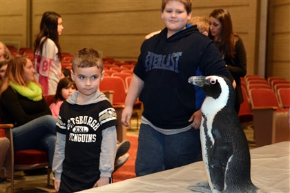 Preston the penguin Preston and students at Ross Elementary School.