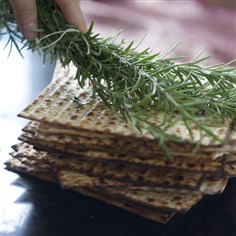 20140403matzo-1 Matzo being brushed with rosemary from "Jewish Holiday Cooking."