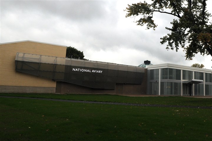Vulture returns to National Aviary