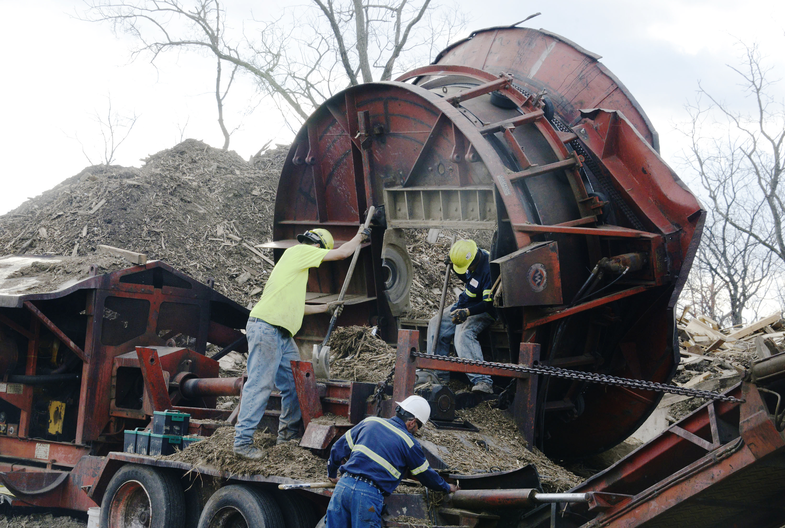 Land-clearing.jpg