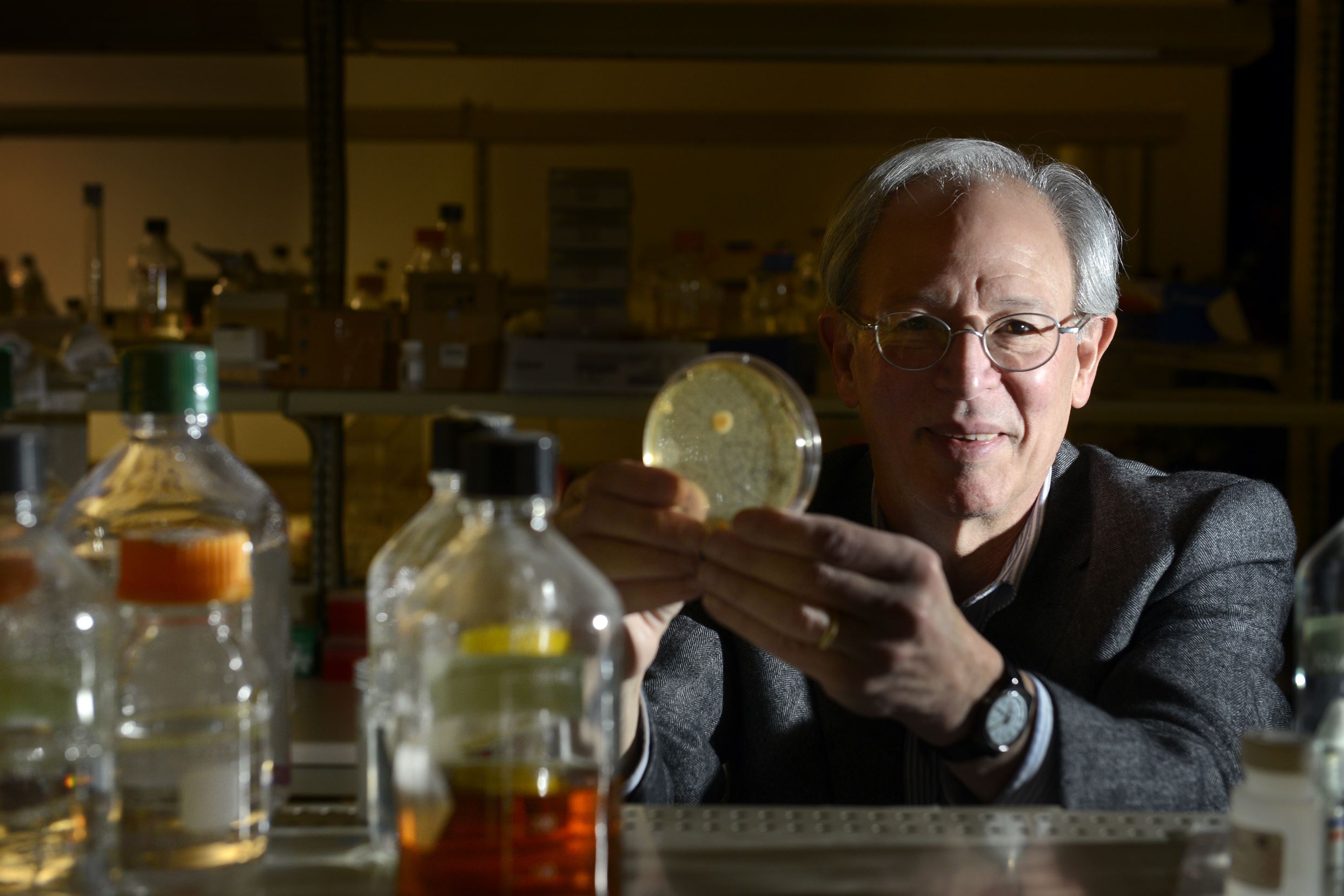 20150130bwSpectraLocal02-1 Jonathan W. Jarvik, a Carnegie Mellon University biochemist who also founded SpectraGenetics, holds a petri disc with a colony of cells used in his research to find a compound that boosts the newly discovered anti-aging protein, GDF11, to be used to reverse aging in pets.