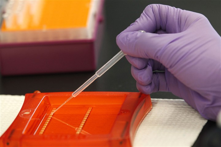 Appellate court refuses to hear DNA case