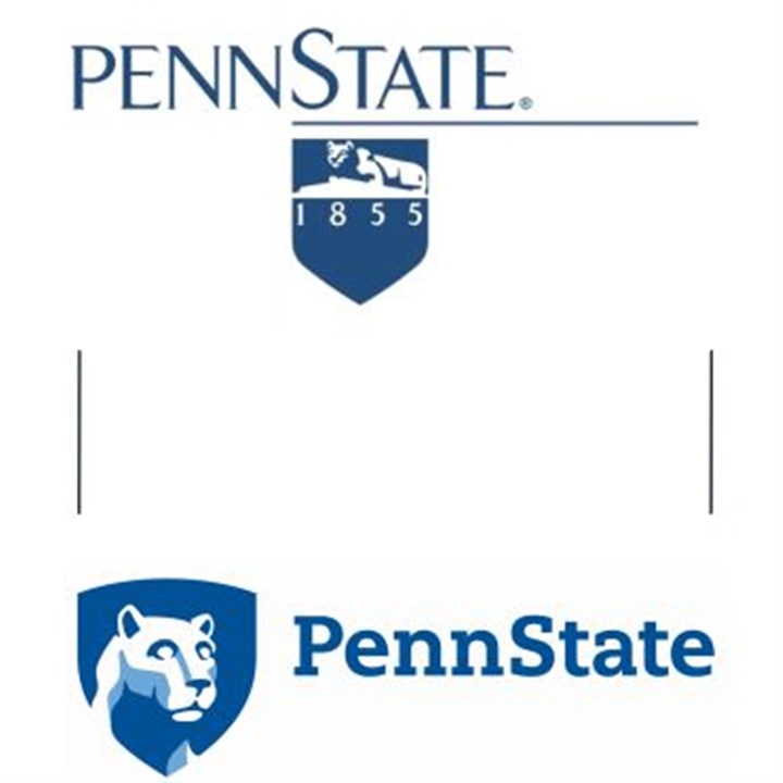 Penn state college application essay prompt