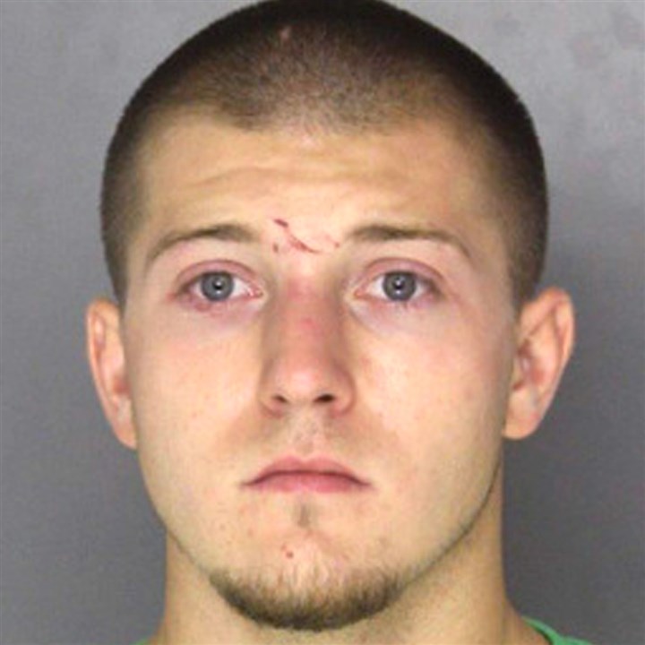 Man who drove drunk, high, killed 6-year-old Shaler girl gets 5-10 years in prison