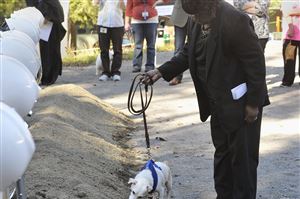  Eula Houston, a volunteer with Animal Friends for 57 years, holds the leash for Baby as the roughly 8-year-old female stray digs at the ceremonial groundbreaking for the new Animal Wellness Center at the Animal Friends complex in Ohio Township.