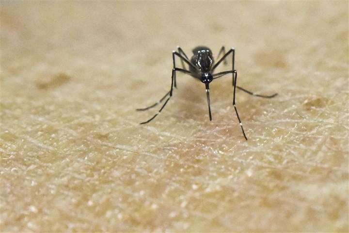 FILES-US-HEALTH-ZIKA 