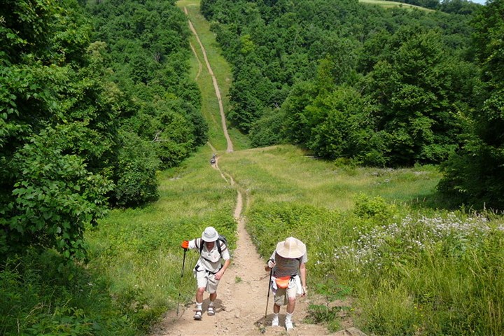 Allegheny County introduces trails app for county parks