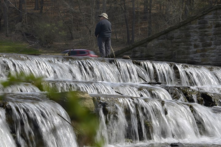 Allegheny County to survey park users