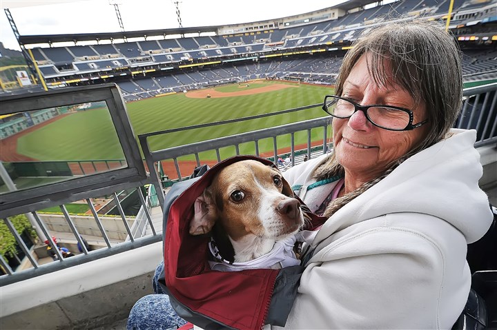 ‘Pup Night’ a popular pooch pastime