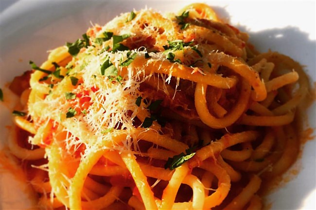  A bowl of Bucatini Alla Matriciana at Cibo in Regent Square.    