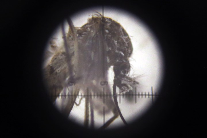 Pennsylvania unveils plans, seeks federal money to tackle Zika virus