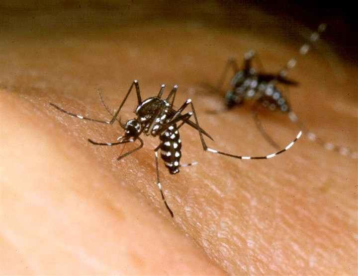 Pennsylvania prepares strategy to fight Zika virus this summer