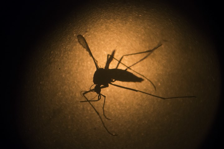 Fourth case of Zika virus reported in Allegheny County