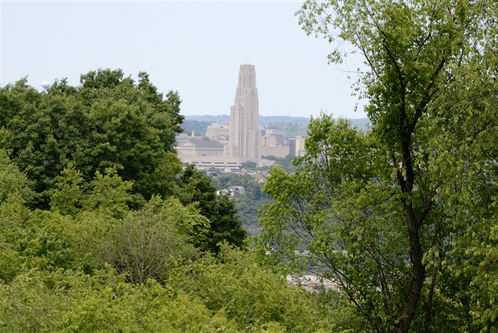 A walking tour of Pittsburgh's future biggest park