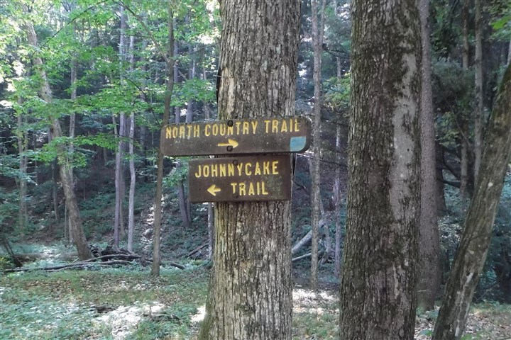 If you wish to comment on the Tracy Ridge Project