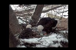 Screen grab from YouTube video shot Friday evening. 