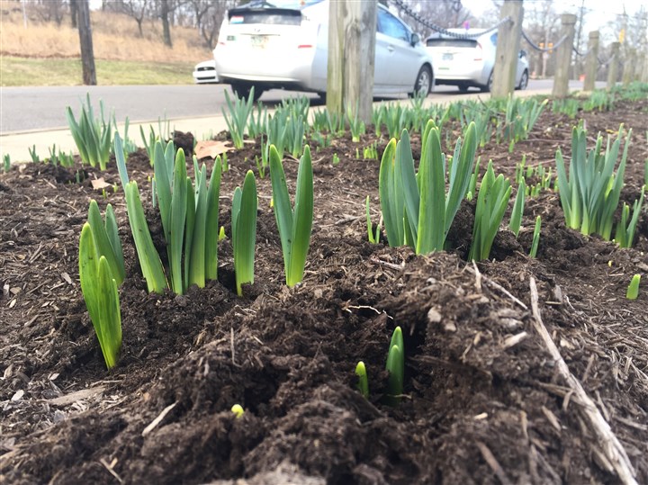 Today's temps break long-standing record for Feb. 24
