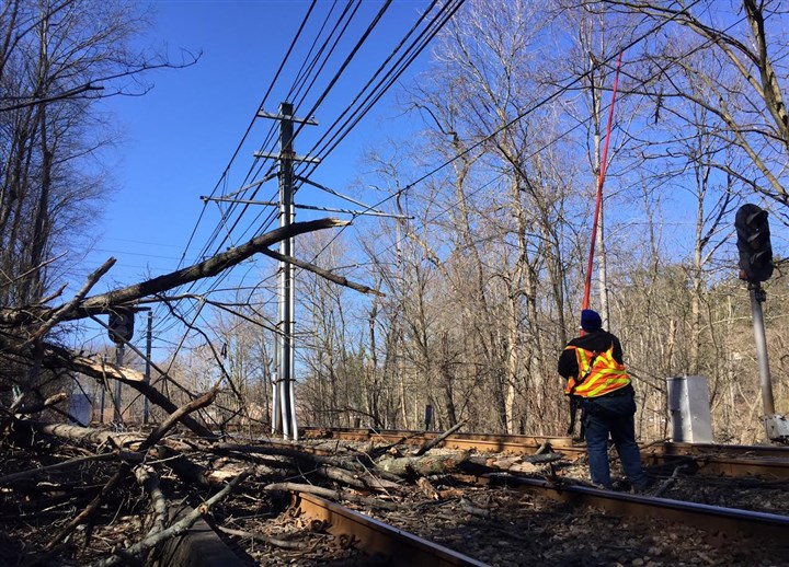 Fallen tree in Mt. Lebanon creates T delays for Port Authority customers