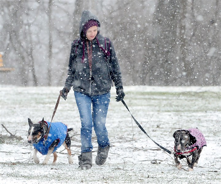 Warmer temps to usher in arrival of spring