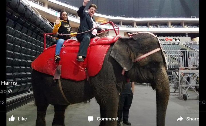 Amid backlash, mayoral candidate defends ride on circus elephant, camel