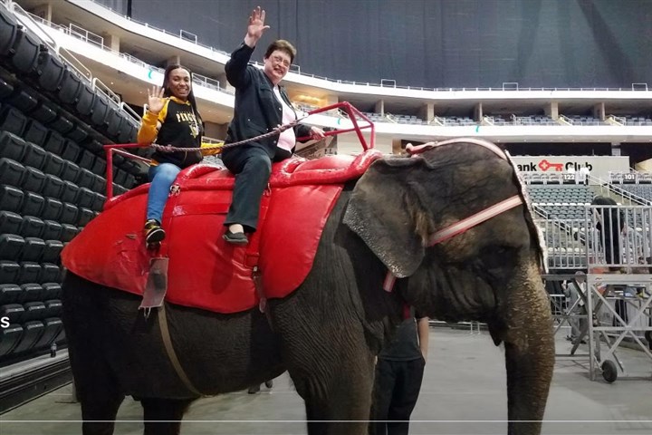 Amid backlash, Darlene Harris defends ride on circus elephant, camel