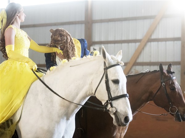 Pet Tales: Horses play lead roles in 'Beauty and the Beast'