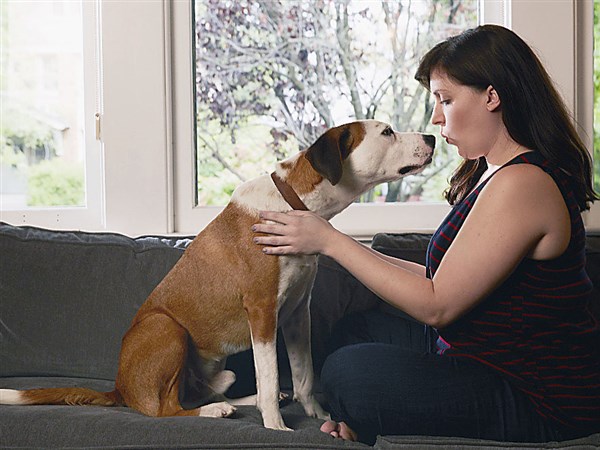 Pittsburgh-filmed series ‘Downward Dog’ debuts Wednesday on ABC