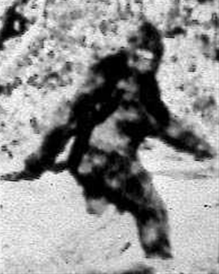 The Keystone Bigfoot Project, a Bigfoot sighting database, has recorded 43 reports of the creature in Allegheny County.