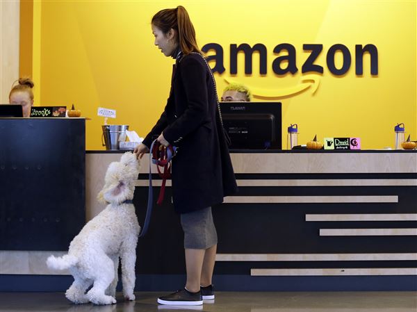 In this Wednesday, Oct. 11, 2017, photo, an Amazon employee gives her dog a biscuit as the pair head into a company building, where dogs are welcome, in Seattle. 
