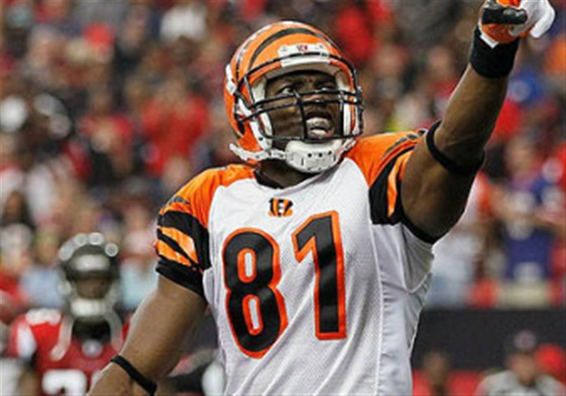 terrell owens bengals jersey