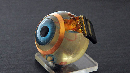 Closeup.jpg