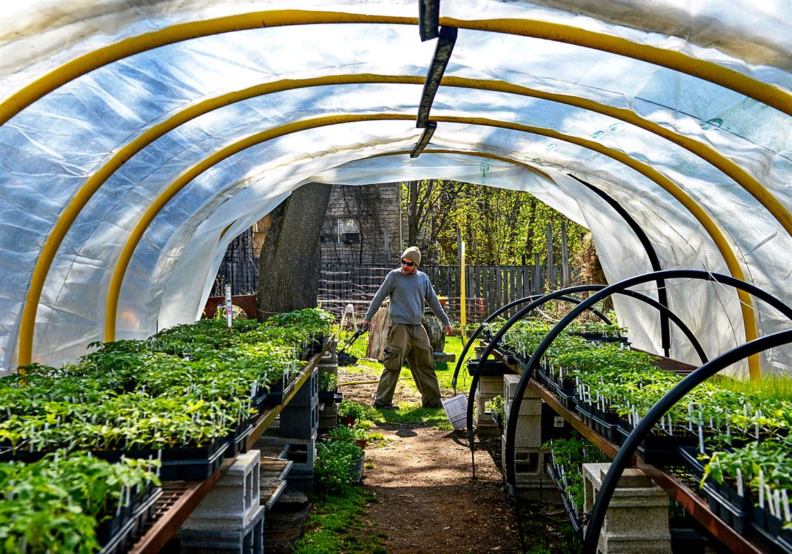 Pittsburgh S Urban Farms A Growing Business Pittsburgh Post Gazette