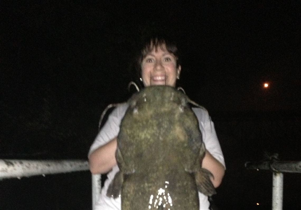 Spotlight on catfish / Increase the odds of catching big flatheads by  intentionally targeting them | Pittsburgh Post-Gazette, image size:1140x798