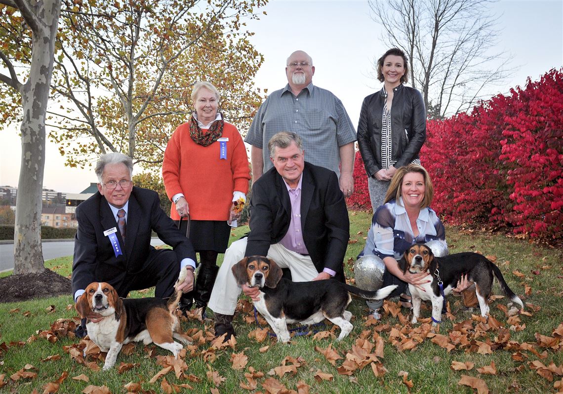 beagle clubs near me