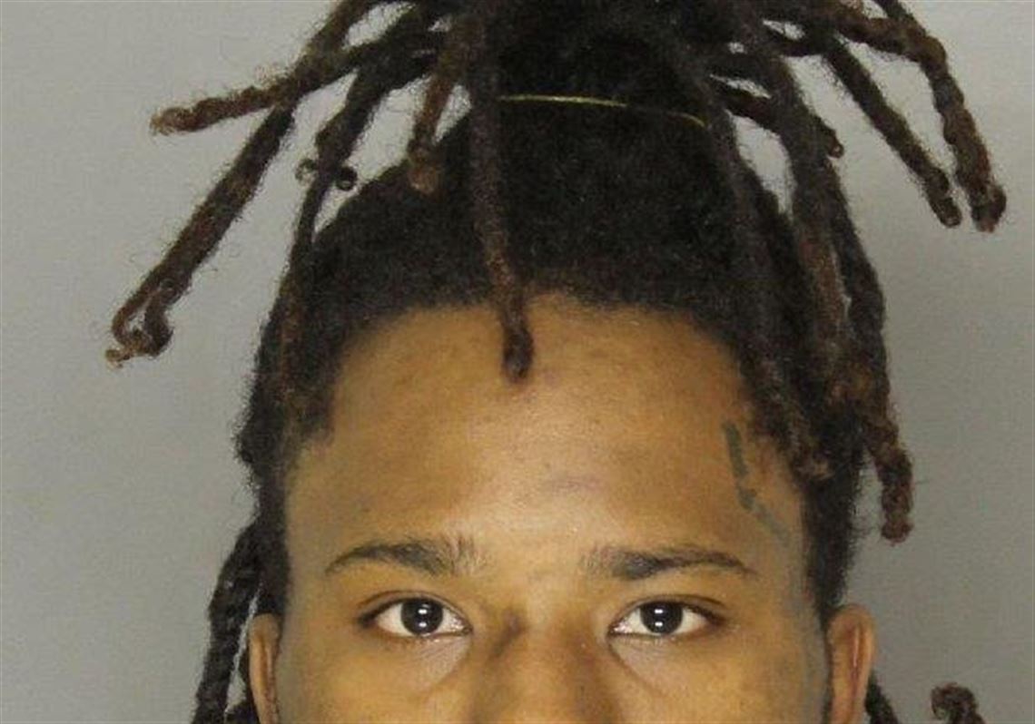 Judge sentences man to 20-40 years in prison for Mount Washington
