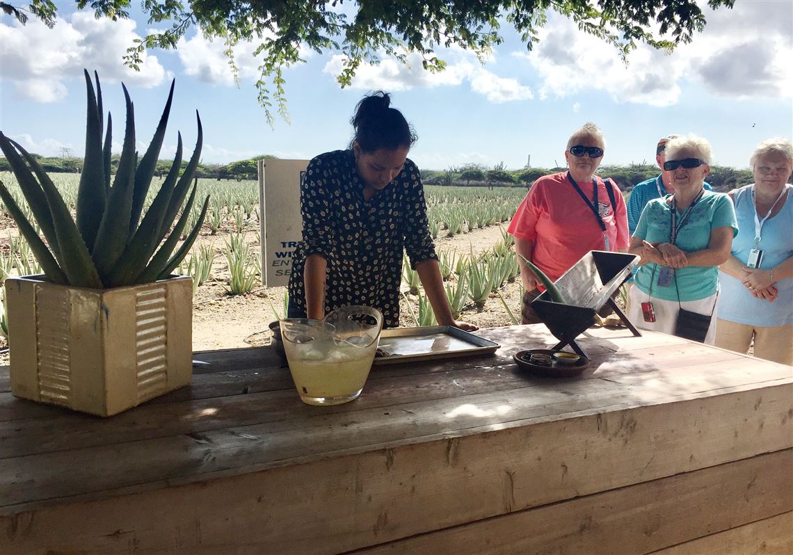Aruba's quirky aloe museum traces the history of this moisturizer and  treatment for burns | Pittsburgh Post-Gazette