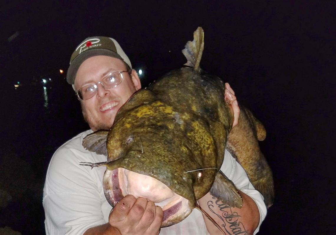 How Pittsburgh river anglers are catching bigger catfish | Pittsburgh  Post-Gazette, image size:1140x798