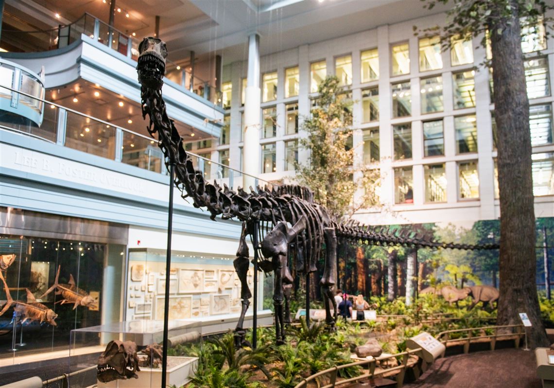 Carnegie Museum of Natural History