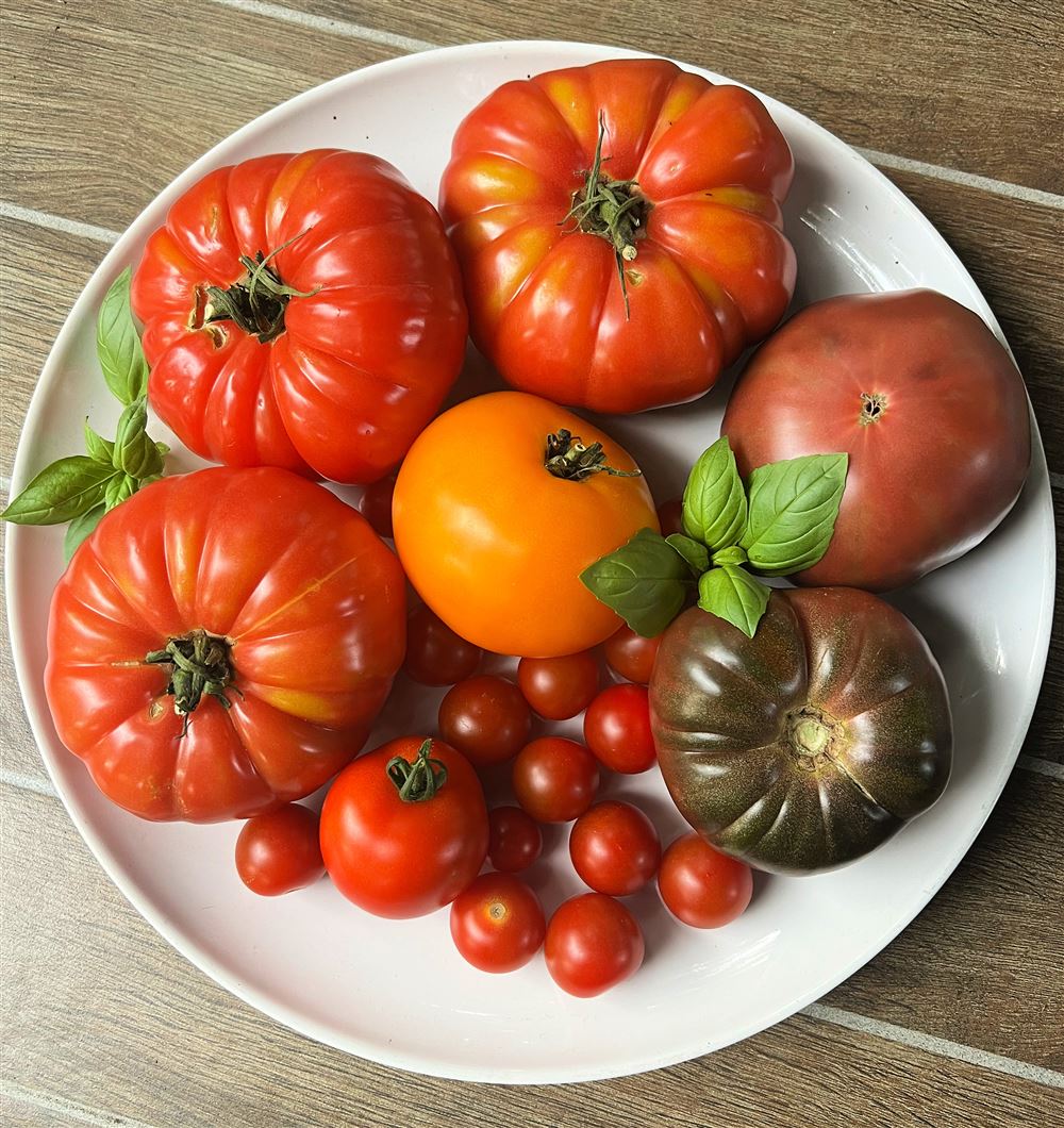 5 tomato recipes to take advantage of summer's ripe red bounty