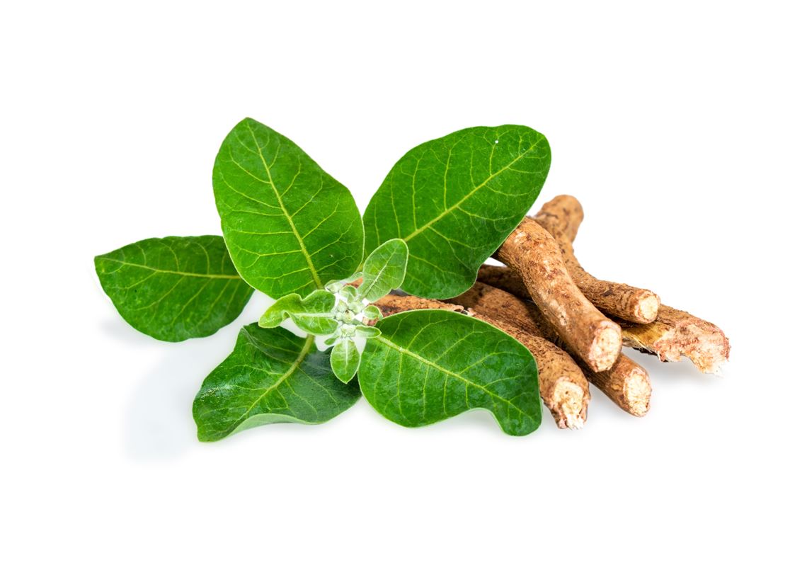 ashwagandha and semaglutide together Does ashwagandha live up to the hype?